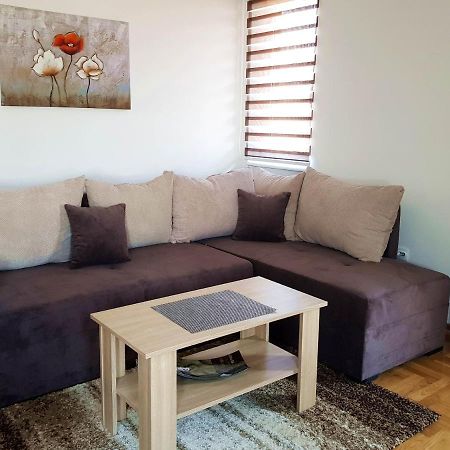 Apartman Kala Vrnjacka Banja Bagian luar foto